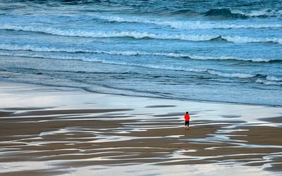 Coping with the challenges of COVID-19